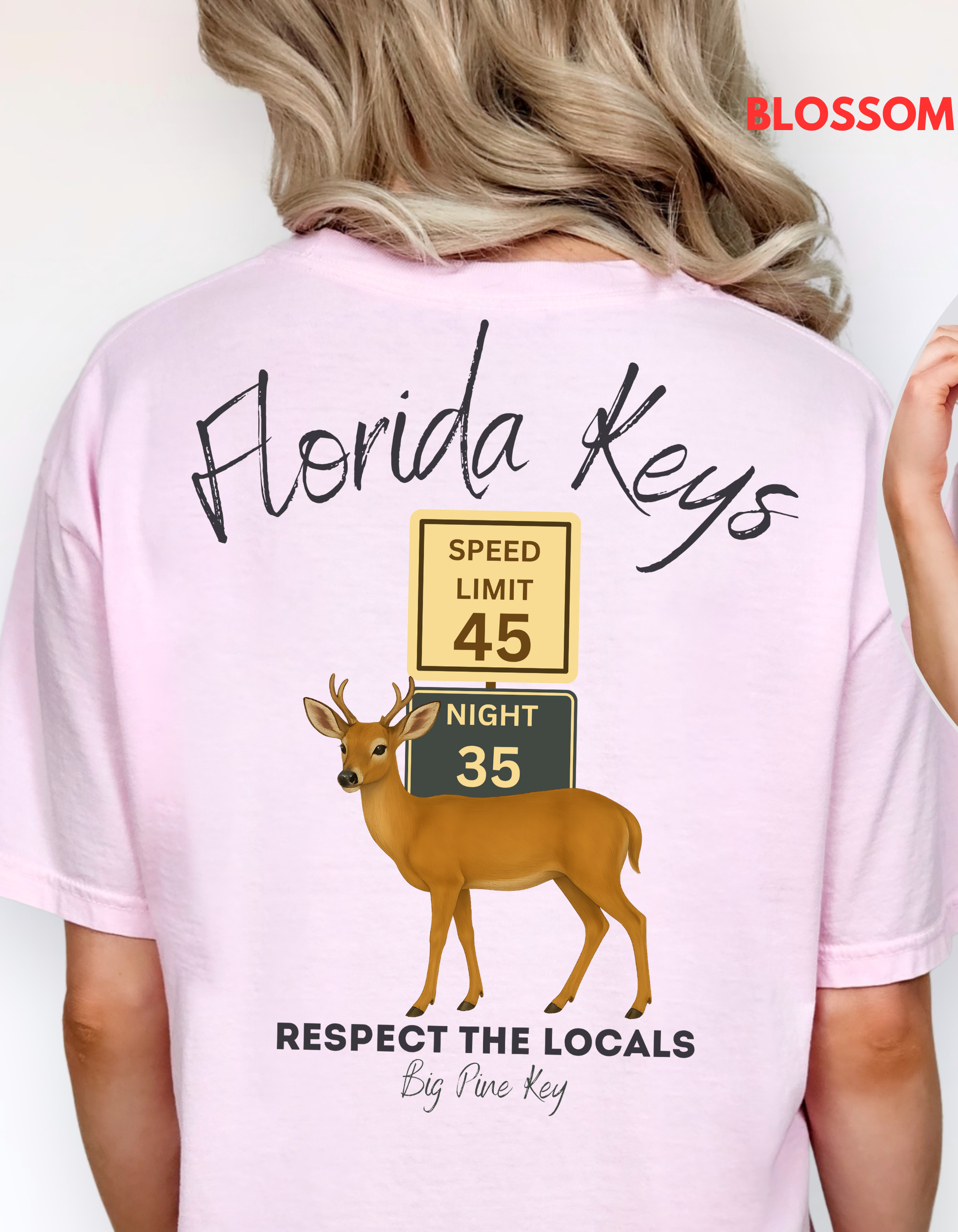 Unisex Florida Keys Shirt, Florida Protect the Locals Tshirt, Key Deer Florida Keys Tee, Big Pine Key Florida Shirt, Protect Wildlife Shirt, Comfort Colors Tee